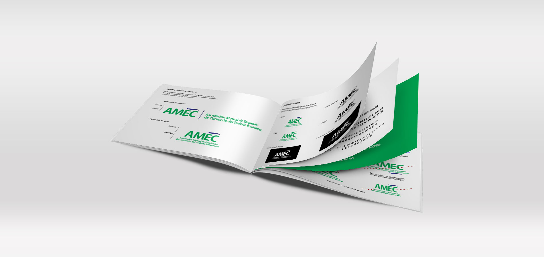 AMEC